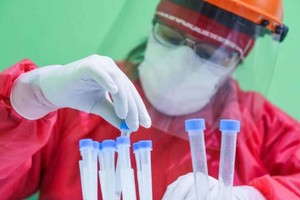 ELLITORAL_392778 |  Gentileza