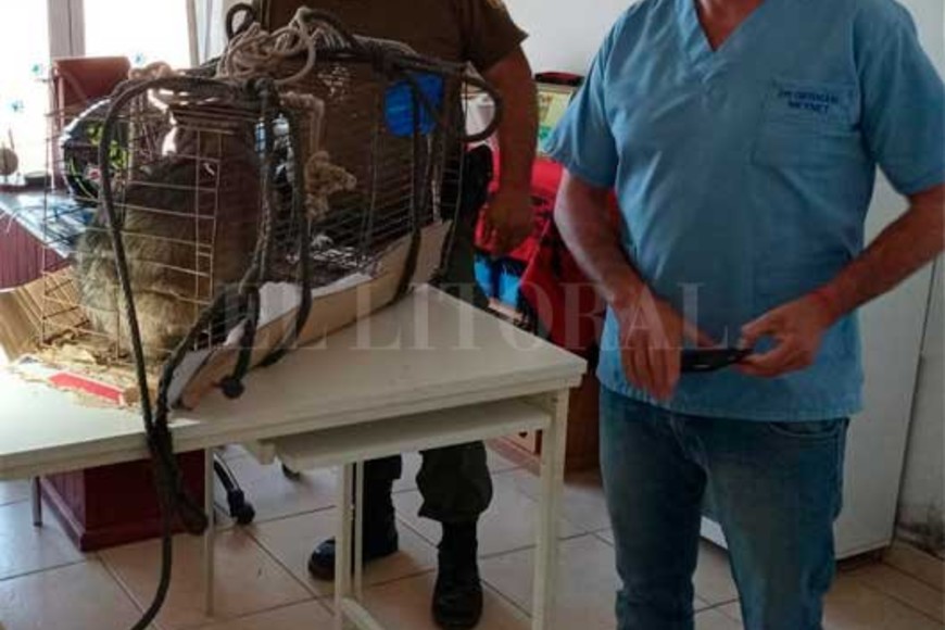 ELLITORAL_412513 |  El Litoral