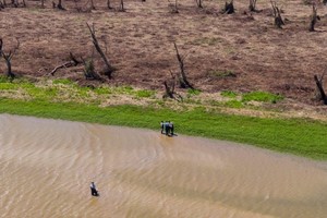 ELLITORAL_378060 |  Gentileza