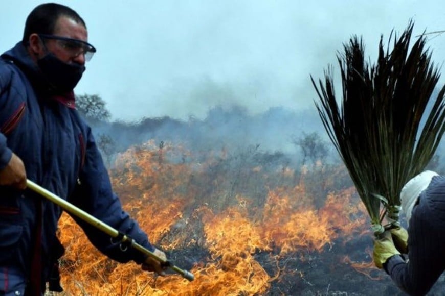 ELLITORAL_409118 |  Gentileza