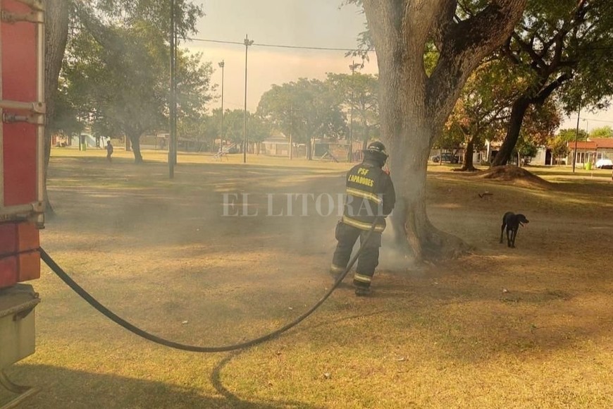 ELLITORAL_431084 | El Litoral D.R