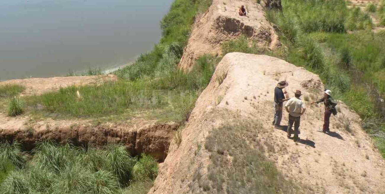 Profundizan el rescate de fósiles pertenecientes a la Megafauna Pleistocénica en el sur santafesino