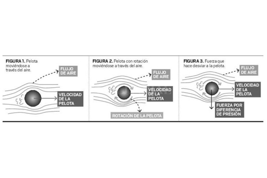 ELLITORAL_412299 |  Gentileza