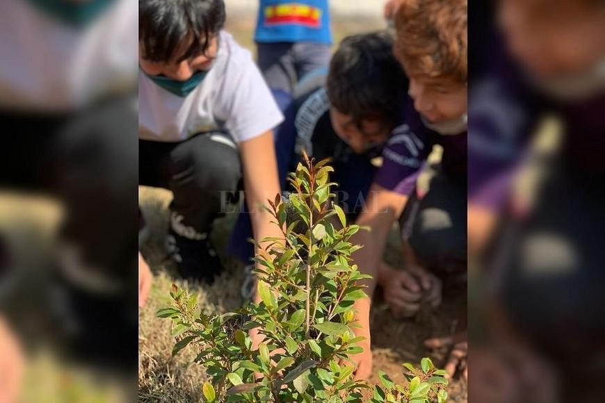 ELLITORAL_404707 |  Gentileza También se plantaron árboles, con la meta de significar en ellos valores como la educación, la solidaridad y la amistad.