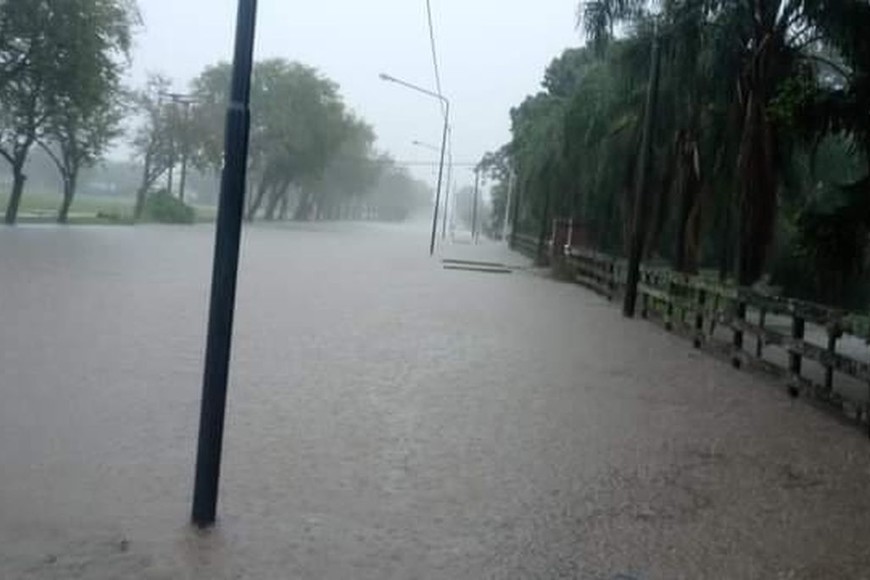 ELLITORAL_365360 |  Gentileza