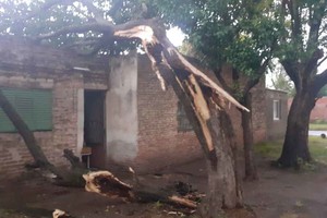 ELLITORAL_428344 |  Gentileza D.R