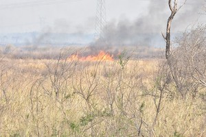 ELLITORAL_400822 |  Manuel Fabatía