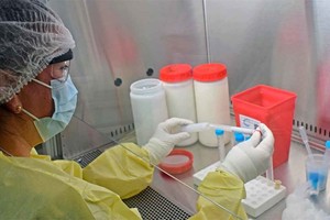 ELLITORAL_421189 |  Gentileza