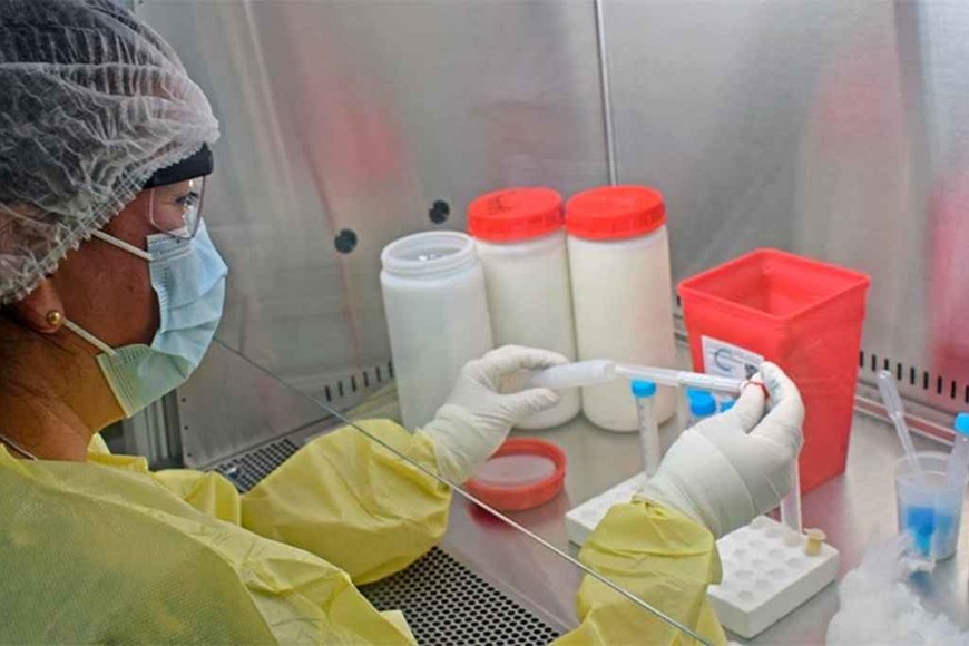 ELLITORAL_421189 |  Gentileza