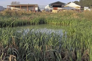 Gentileza Hernán Hadad (FIQ UNL) Humedal construido. Funciona en la industria Bahco, de la ciudad de Santo Tomé.