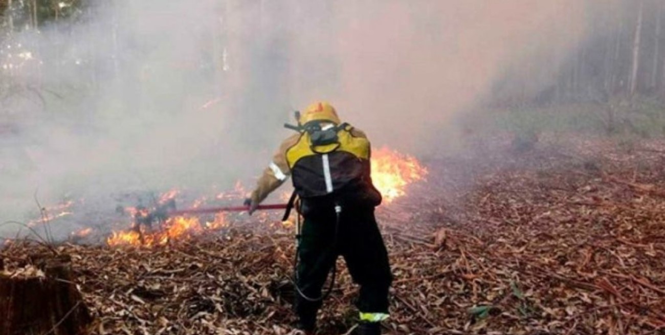 Se mantiene activo un incendio forestal en Entre Ríos