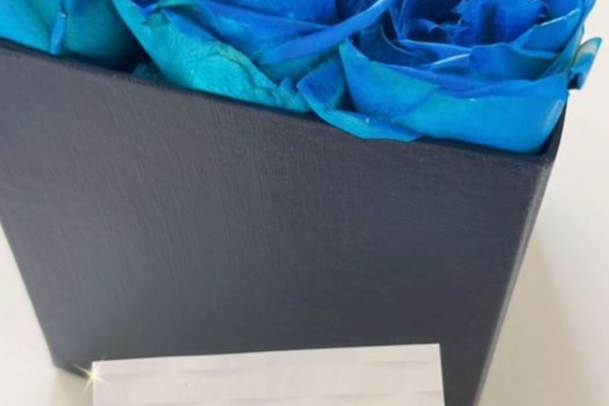 ELLITORAL_436794 |  Captura de Instagram D.R