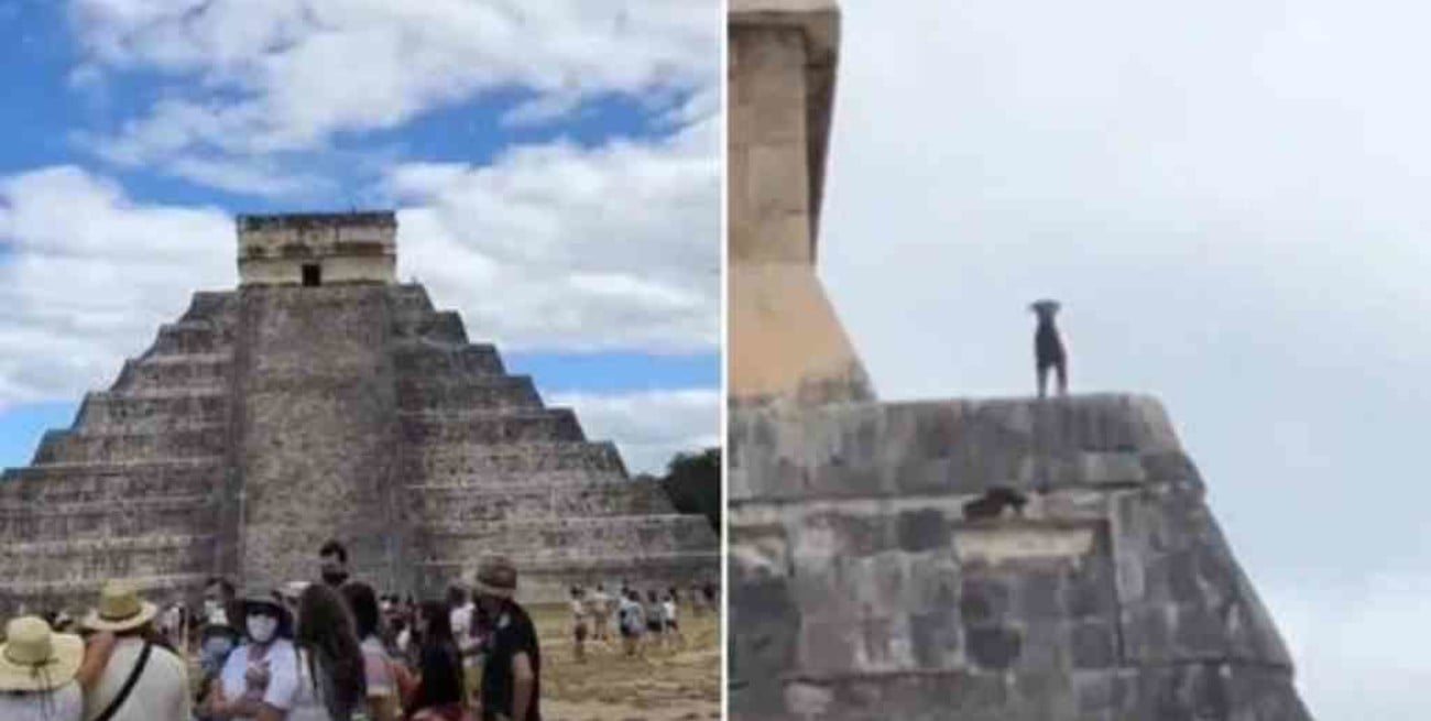 "Le valió al firulais": un perro subió a la cima de la pirámide de Chichén Itzá, y se volvió viral 