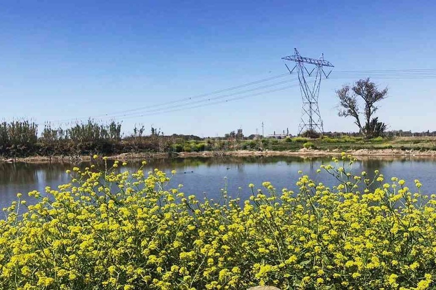 ELLITORAL_365540 |  Gentileza