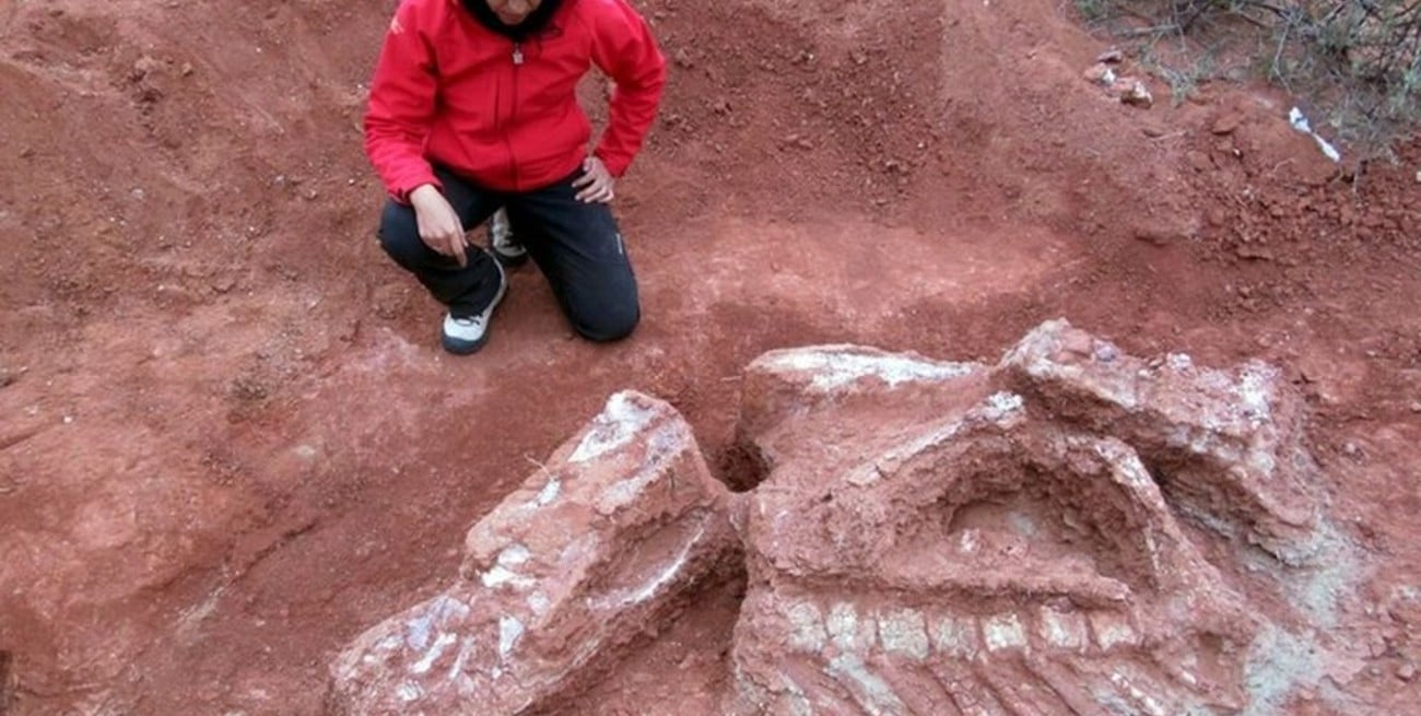 San Juan: descubren restos del dinosaurio gigante más antiguo que habitó la Tierra