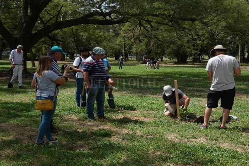 ELLITORAL_362822 |  Gentileza