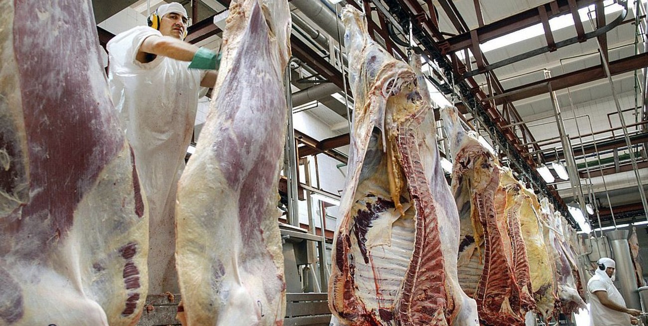 El Gobierno suspendió por 30 días las exportaciones de carne vacuna