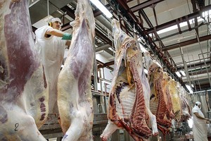 ELLITORAL_377132 |  Archivo zzzznacp2
NOTICIAS ARGENTINAS
BAIRES, ENERO 29: (ARCHIVO)  Las exportaciones de carne bovina alcanzaron las 897.500 toneladas en el 2020, por 2.710 millones de dólares, lo que representó una caída del 12,5% respecto del 2019, según un informe sectorial difundido hoy.  FOTO NAzzzz