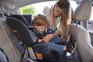 Archivo El Litoral En ruta, se recomienda que los menores estén bien ajustados en el SRI detrás del conductor. Dentro de la ciudad, en la plaza central del asiento trasero.