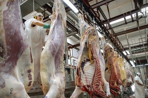 ELLITORAL_378644 |  Archivo zzzznacp2
NOTICIAS ARGENTINAS
BAIRES, MAYO 7: (ARCHIVO)  Mientras las exportaciones de carne vacuna subieron 23,3% interanual en marzo Ãºltimo y alcanzaron un nuevo rÃ©cord, el consumo interno cayÃ³ 9,5%, segÃºn datos difundidos hoy por la CÃ¡mara de la Industria y Comercio de las Carnes (Ciccra).  FOTO NAzzzz