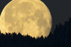 ELLITORAL_369991 |  Gentileza