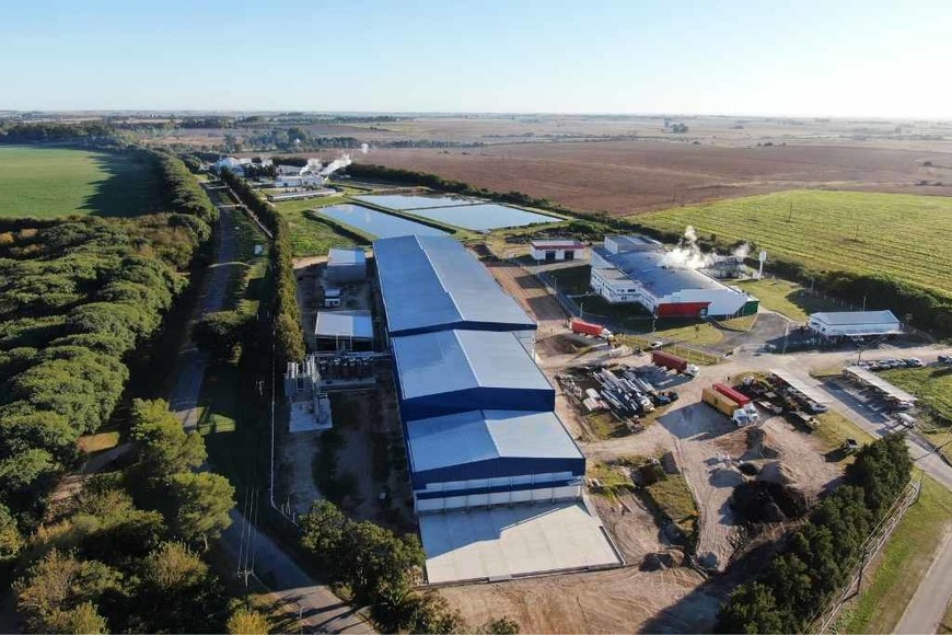 ELLITORAL_380926 |  Gentileza.