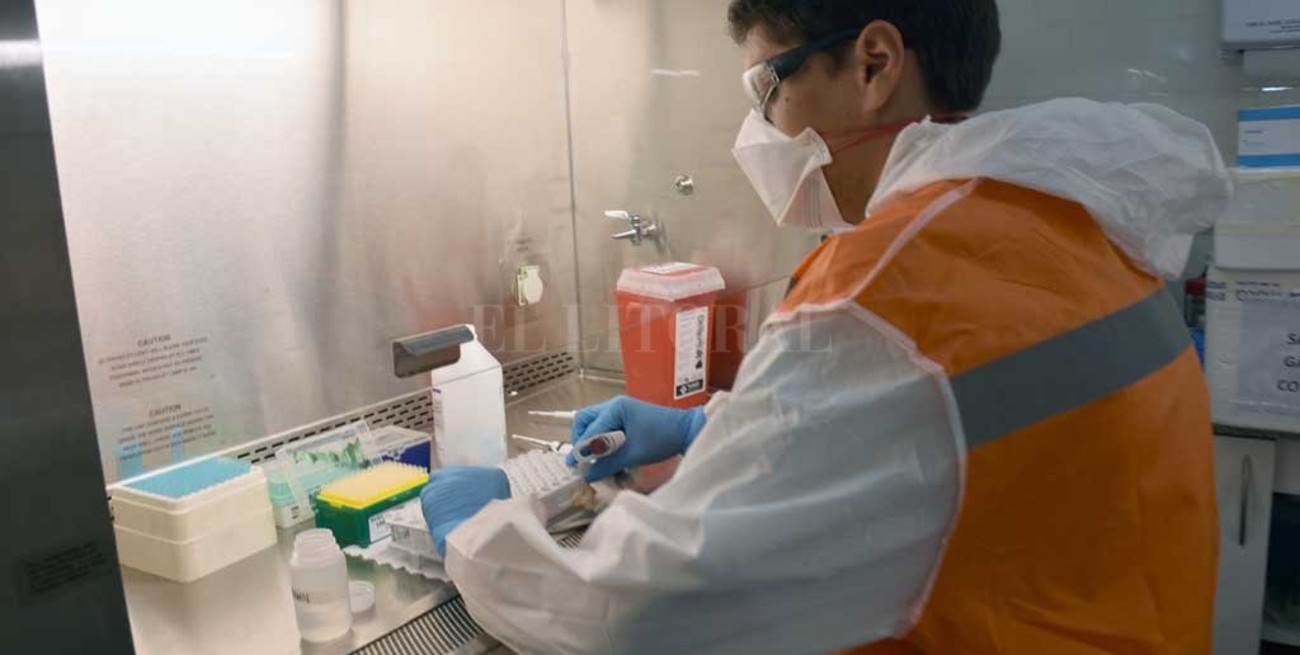 Covid: hasta 500 muestras PCR diarias  llega a procesar el Laboratorio Central