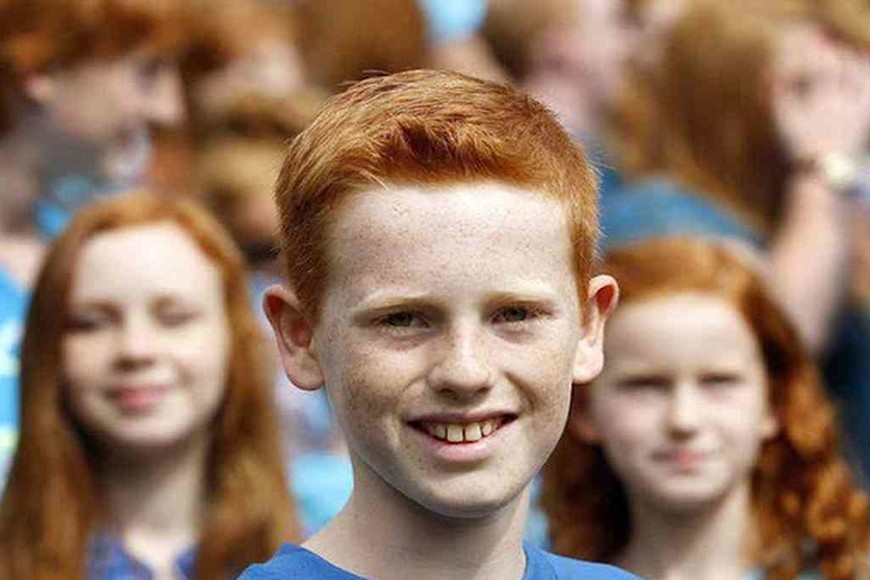 ELLITORAL_402318 |  Imagen ilustrativa