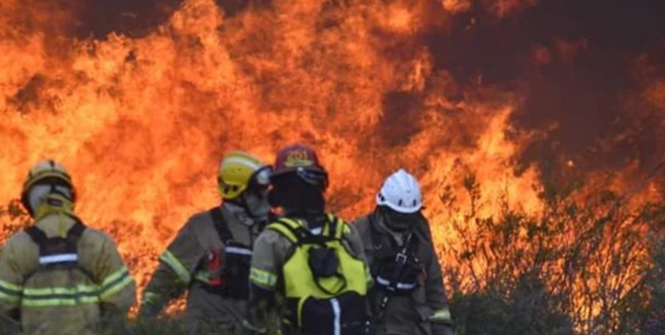 En Puerto Madryn se quemaron 80.000 hectáreas 