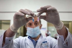 ELLITORAL_368415 |  Noticias Argentinas