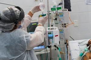 ELLITORAL_372273 |  Gentileza