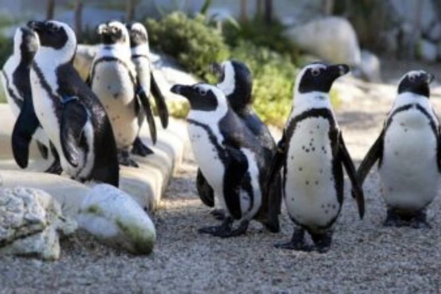 ELLITORAL_405310 | Gentileza