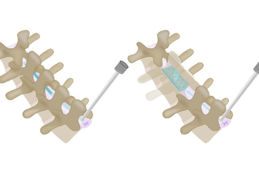 ELLITORAL_389808 | Gentileza