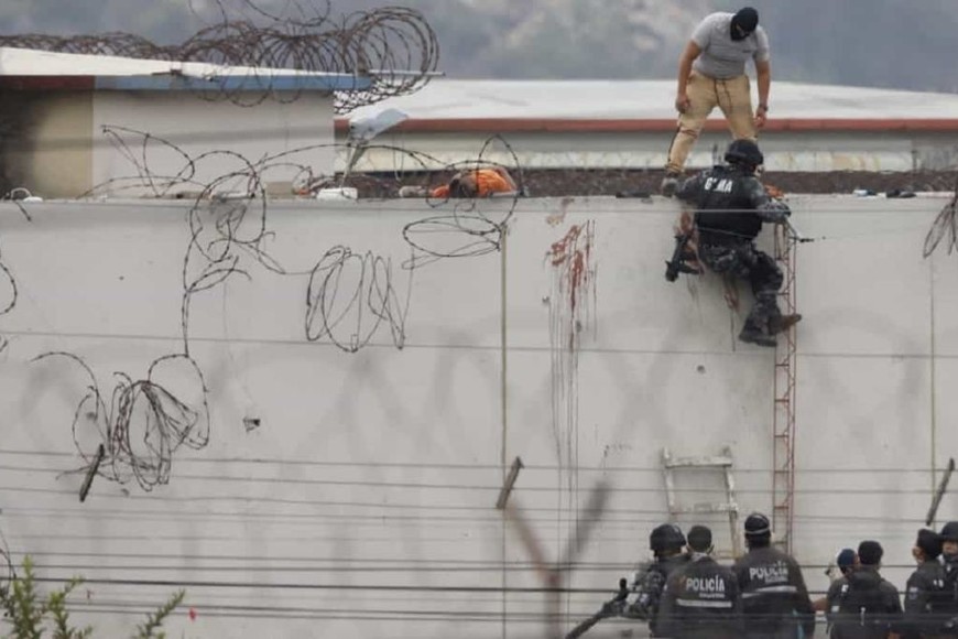 ELLITORAL_418229 |  Gentileza