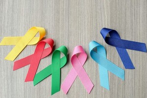 ELLITORAL_435079 |  Gentileza D.R