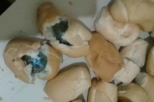 ELLITORAL_370921 |  Gentileza