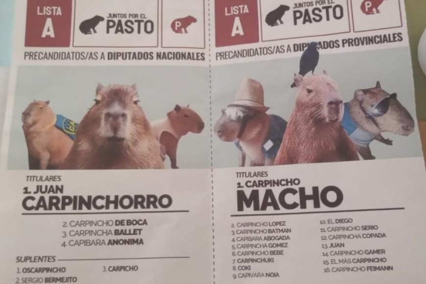 ELLITORAL_403847 |  Gentileza