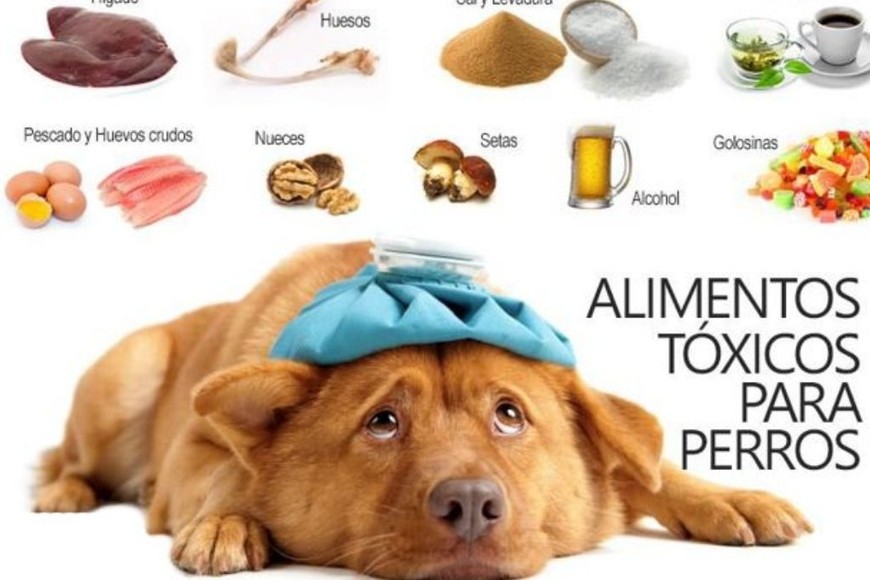 ELLITORAL_427029 | Gentileza D.R