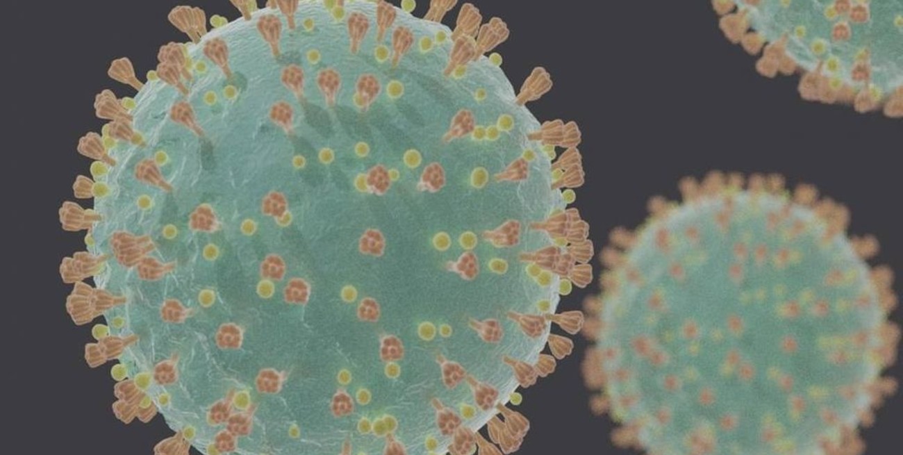 Coronavirus: "Ómicron sigilosa", una mutación que ya preocupa a Europa y Estados Unidos