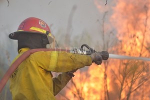ELLITORAL_430158 |  Manuel Fabatia El trabajo a destajo de los bomberos, ante la irresponsabilidad de los ciudadanos que prenden fuego y no lo controlan.