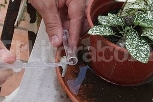 Archivo El Litoral / Guillermo Di Salvatore