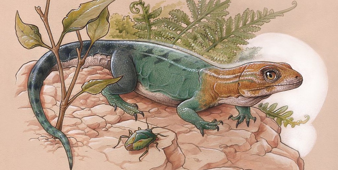 Descubrieron un lagarto que vivió hace unos 84 millones de años en la Patagonia