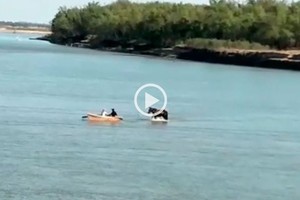 ELLITORAL_394776 |  Gentileza