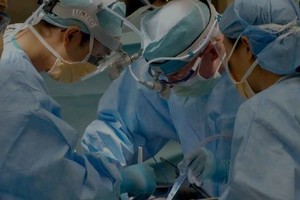 ELLITORAL_430469 |  Gentileza D.R