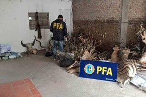 Prensa Ministerio de Seguridad de la Nación