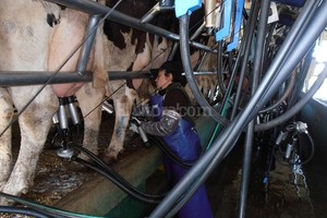 Archivo El Litoral / Federico Aguer