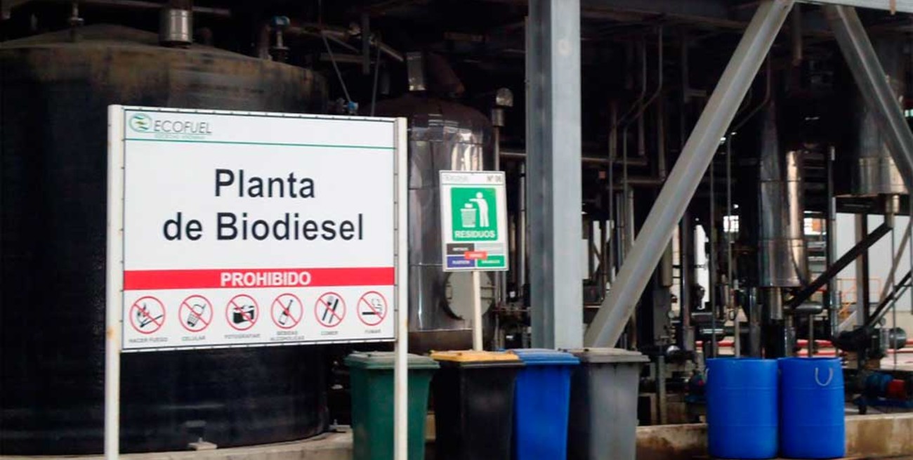 "Alarma" a las cadenas de valor el proyecto de ley de biocombustibles