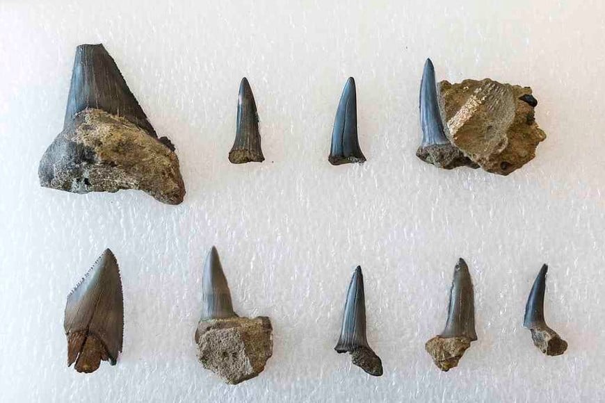 ELLITORAL_432605 |  MGRaggio D.R