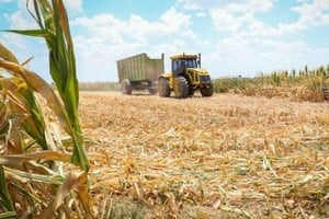 ELLITORAL_436670 |  Gentileza D.R