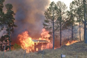 ELLITORAL_398073 |  Gentileza